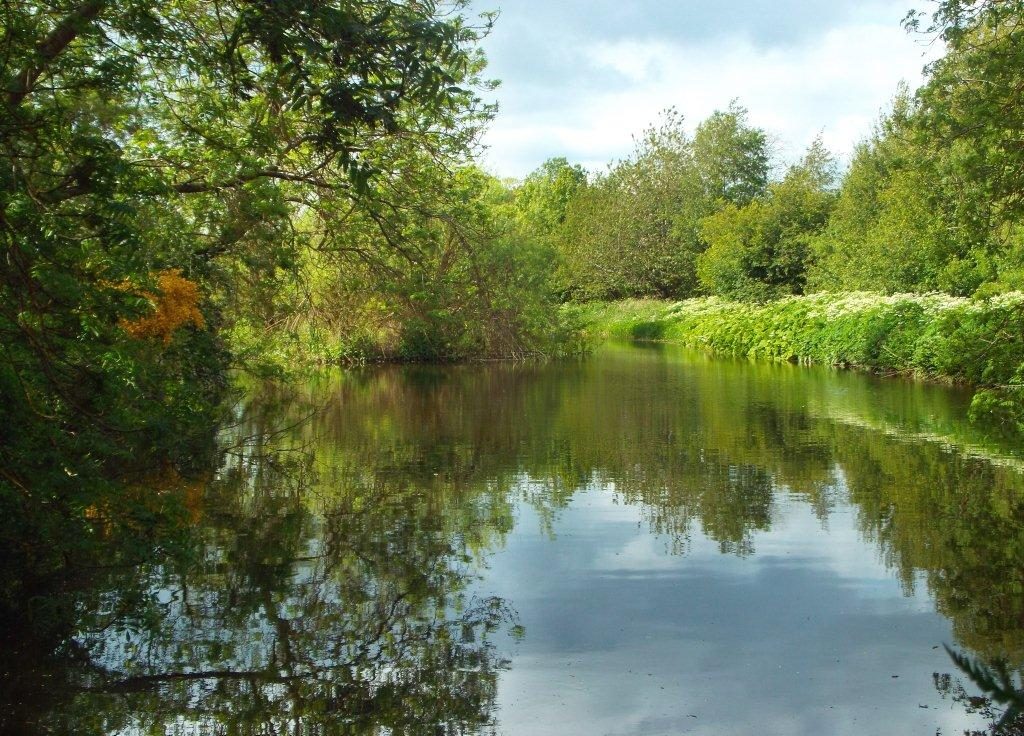 WINNER: Magical Pond by Leah McNicol